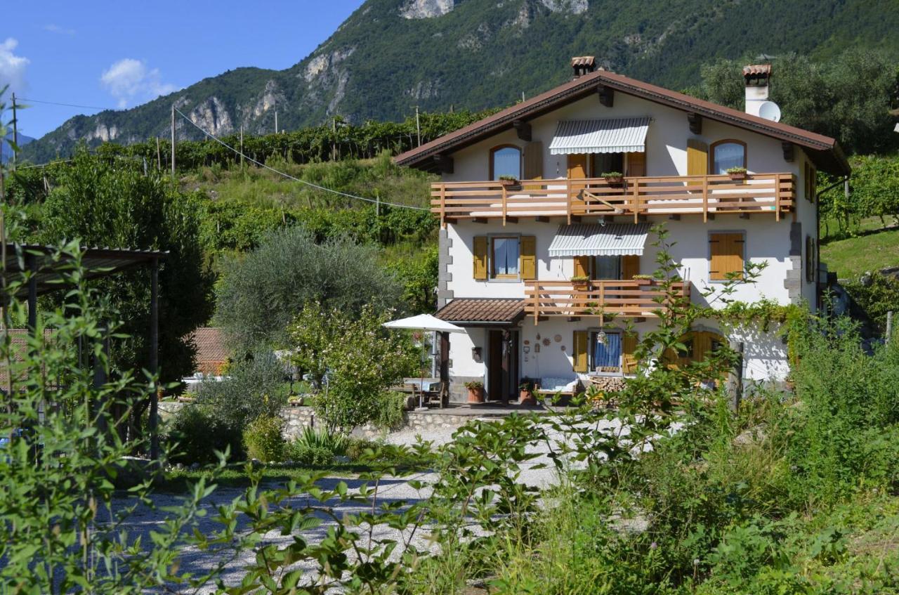 Ca Ulivi Bed & Breakfast Ala Dış mekan fotoğraf