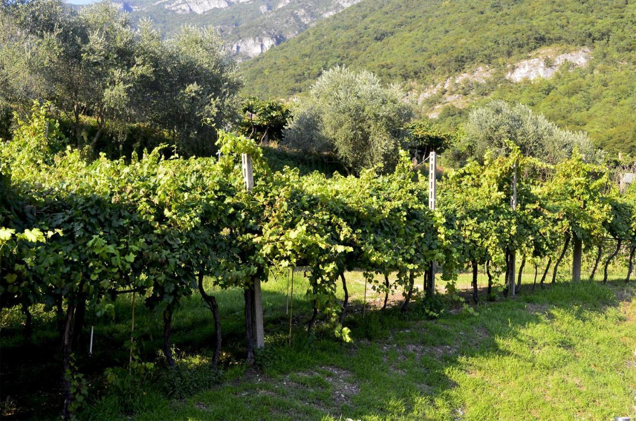 Ca Ulivi Bed & Breakfast Ala Dış mekan fotoğraf