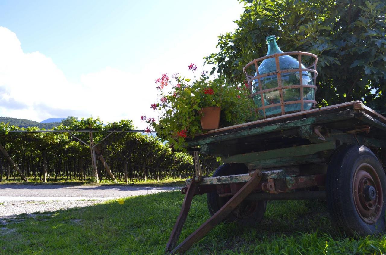 Ca Ulivi Bed & Breakfast Ala Dış mekan fotoğraf