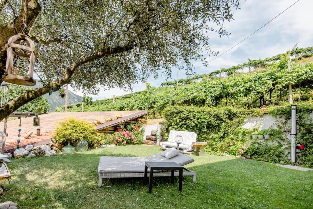 Ca Ulivi Bed & Breakfast Ala Dış mekan fotoğraf